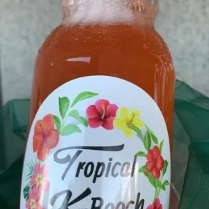 Picante a base de kombucha